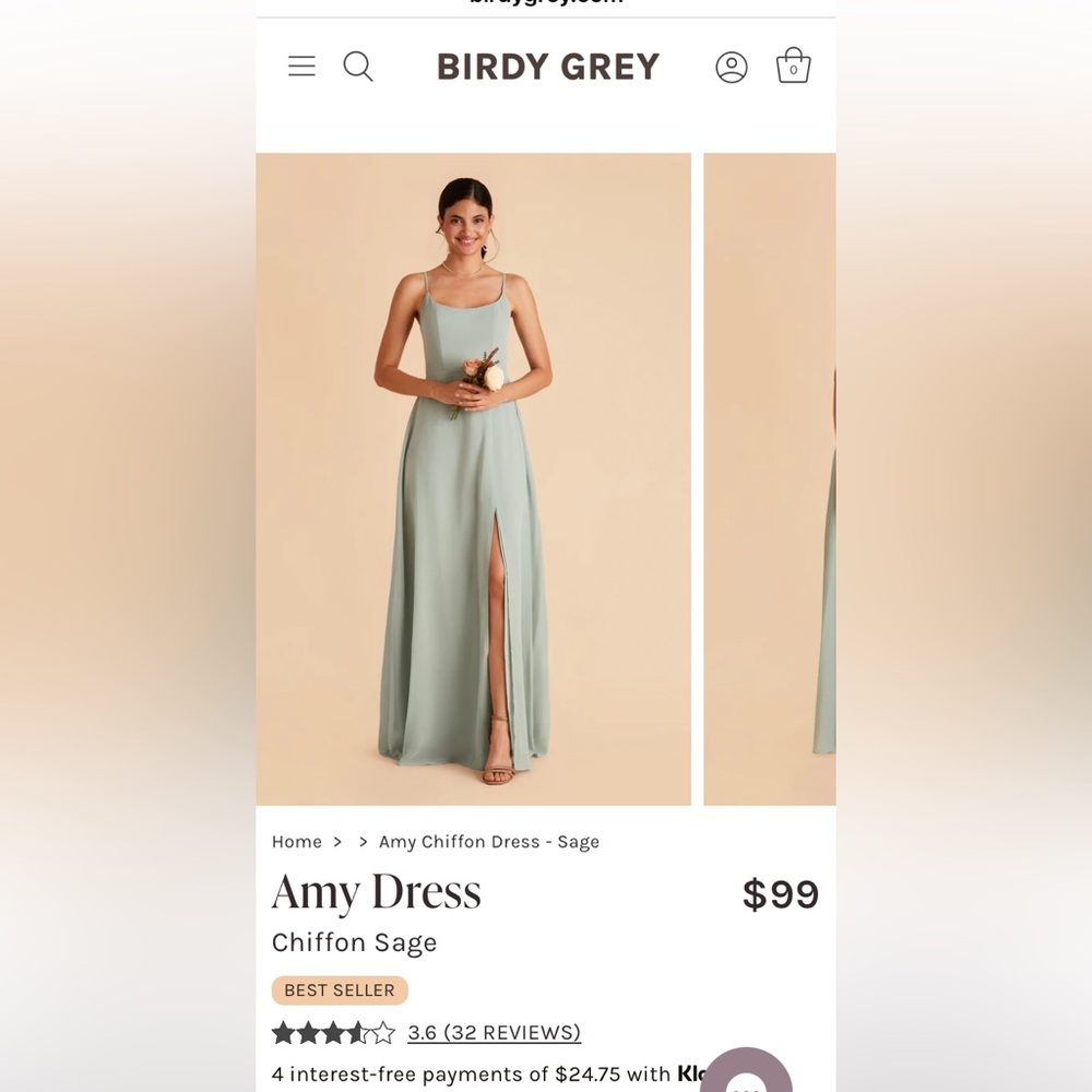 Birdy Grey Bridesmaids Dress- Amy, chiffon sage